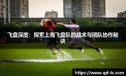NG体育官网