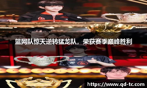 NG体育APP