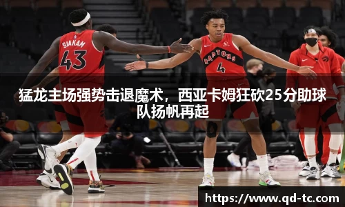 NG体育下载