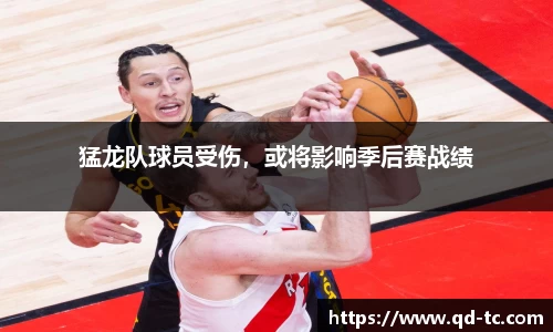 NG体育下载