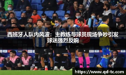 NG体育网址