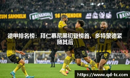 NG体育网址
