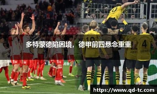 NG体育下载
