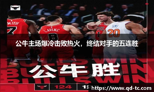 NG体育网址