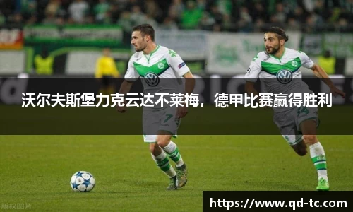 NG体育官网