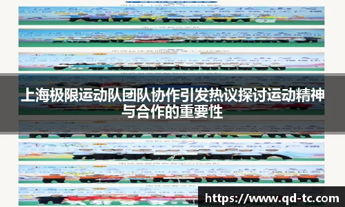 NG体育官网