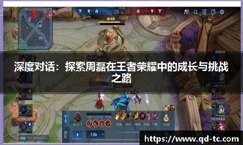 NG体育下载