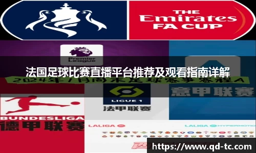 法国足球比赛直播平台推荐及观看指南详解