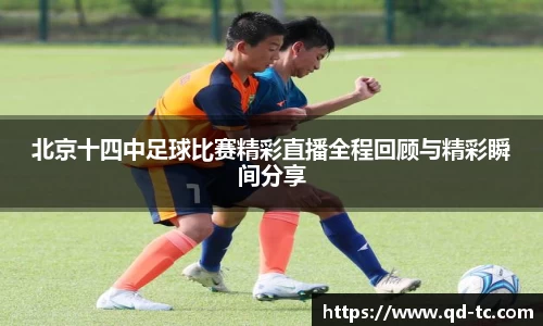 NG体育下载