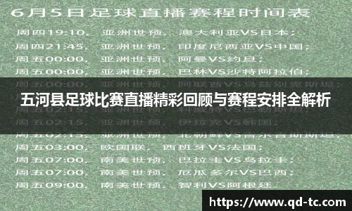 NG体育APP