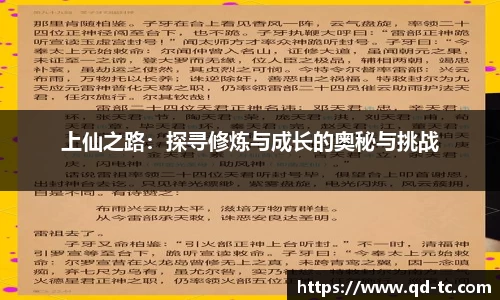 上仙之路：探寻修炼与成长的奥秘与挑战