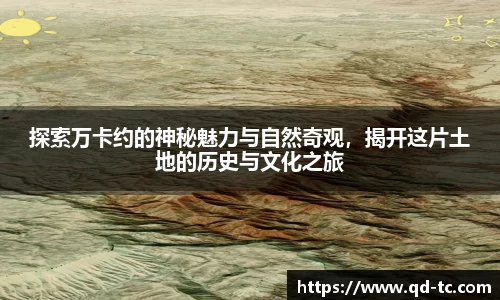 NG体育网址