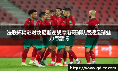 法联杯精彩对决尼斯迎战摩洛哥球队展现足球魅力与激情