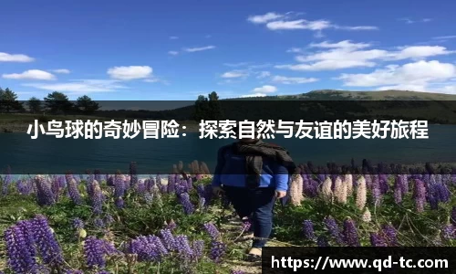 小鸟球的奇妙冒险：探索自然与友谊的美好旅程